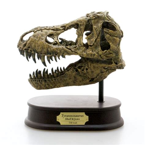 reproduction dinosaur skulls for sale